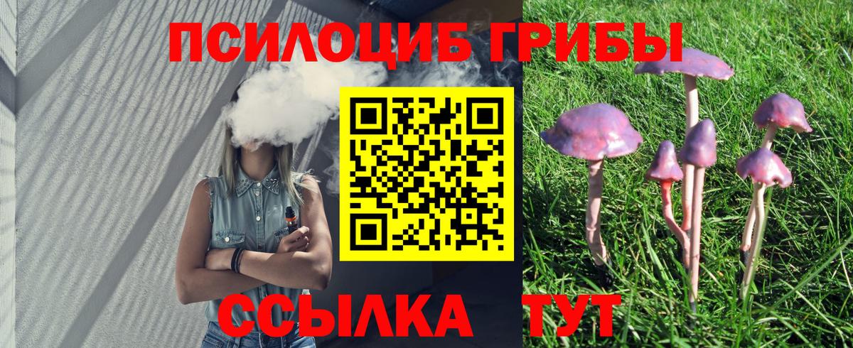 Галлюциногенные грибы Magic Shrooms Красноярск