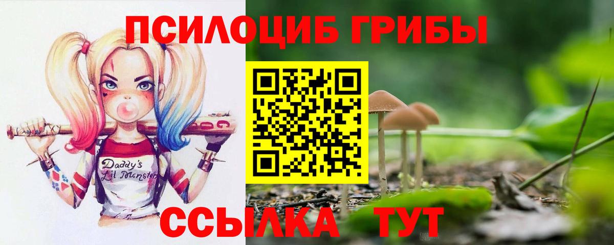 Галлюциногенные грибы MAGIC MUSHROOMS  Галлюциногенные грибы мицелий  Красноярск  Вход с VPN 